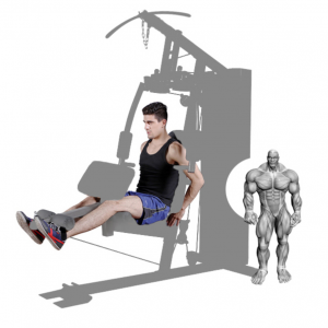 Strength Training Equipment- (300*300)- Grey coloured image of the Home Gym/Single Station with man performing leg extensions along with illustration of muscular system