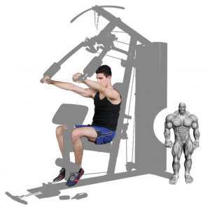 Strength Training Equipment- (300*300)- Grey coloured image of the Home Gym/Single Station with man performing seated chest press along with illustration of muscular system