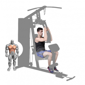 Strength Training Equipment- (300*300)- Grey coloured image of the Home Gym/Single Station with man performing a seated chest fly along with illustration of muscular system