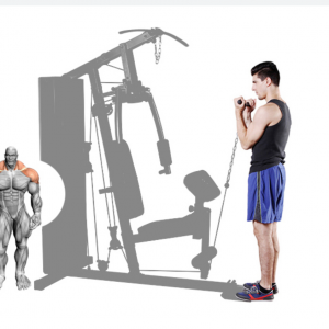Strength Training Equipment- (300*300)- Grey coloured image of the Home Gym/Single Station with man performing cable curls along with illustration of muscular system