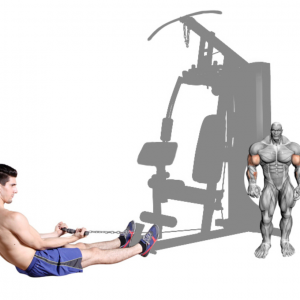 Strength Training Equipment- (300*300)- Grey coloured image of the Home Gym/Single Station with man performing seated low/cable row along with illustration of muscular system