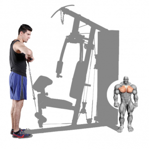 Strength Training Equipment- (300*300)- Grey coloured image of the Home Gym/Single Station with man performing a cable upright row with illustration of muscular system