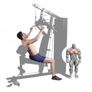 Strength Training Equipment- (300*300)- Grey coloured image of the Home Gym/Single Station with man performing a lateral pulldown along with illustration of muscular system