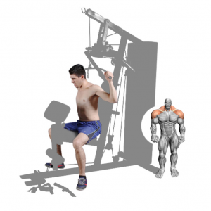 Strength Training Equipment- (300*300)- Grey coloured image of the Home Gym/Single Station with man performing a rear-neck pulldown with illustration of muscular system