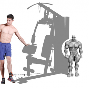 Strength Training Equipment- (300*300)- Grey coloured image of the Home Gym/Single Station with man performing a cable hip-abduction with illustration of muscular system