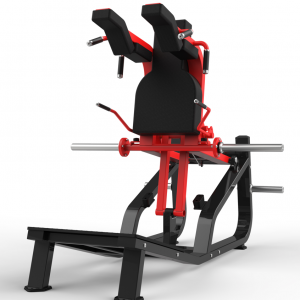 Strength Training Equipment- Bothway Squat Gym Machine