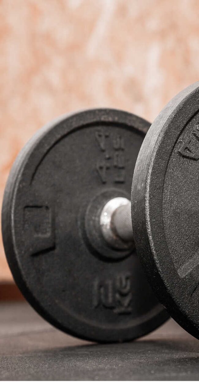 Dumbbell weight plates for a home gym