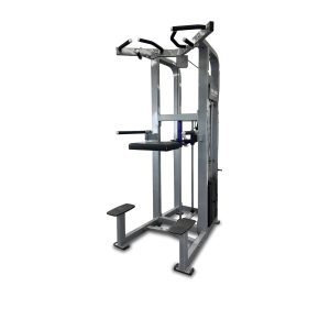 DBPF-1008 CHIN/DIP ASSISTANT