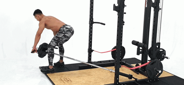 Light Commercial Squat Full Rack - Image 12