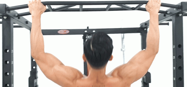 Light Commercial Squat Full Rack - Image 6