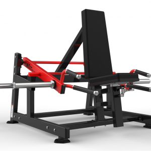 DBRS-1032 Seated/Standing Shrug