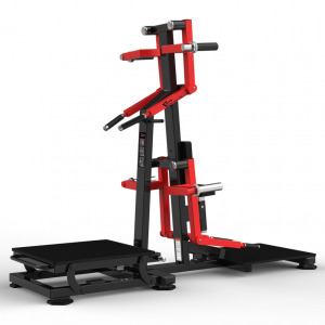 DBRS-1050 Lateral Raise/Rear Deltoid