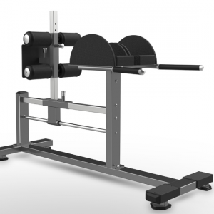 DBFW-2029 GLUTE HAM RAISE