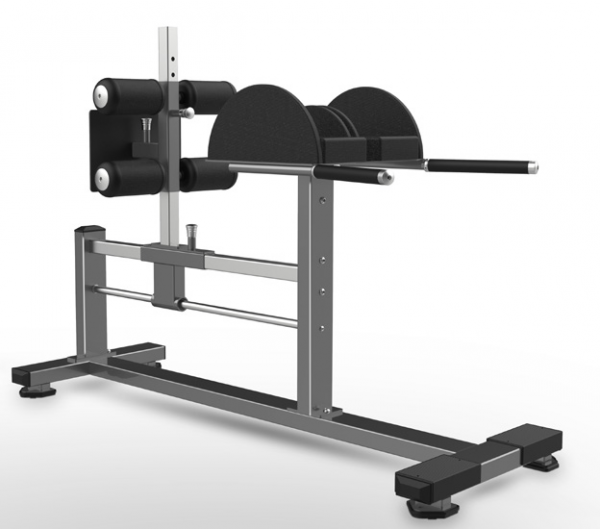 DBFW-2029 GLUTE HAM RAISE