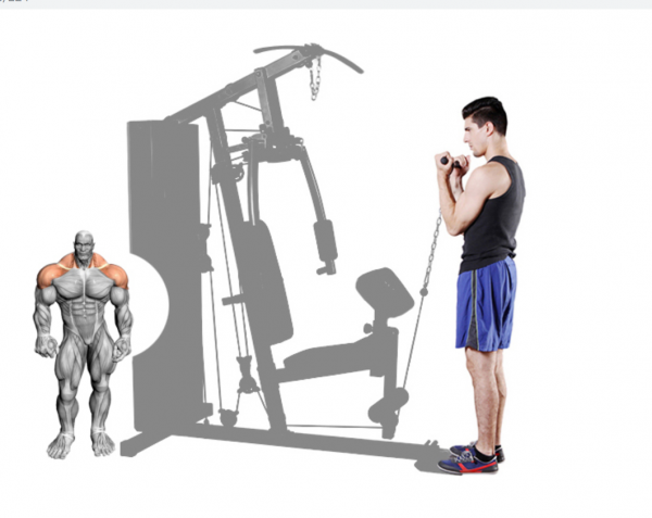 Single-Station Home Gym DB-5001 - Image 6