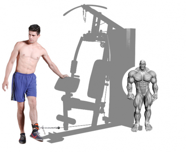 Single-Station Home Gym DB-5001 - Image 11