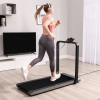 Walkingpad X21 Treadmill — Rent - Image 2