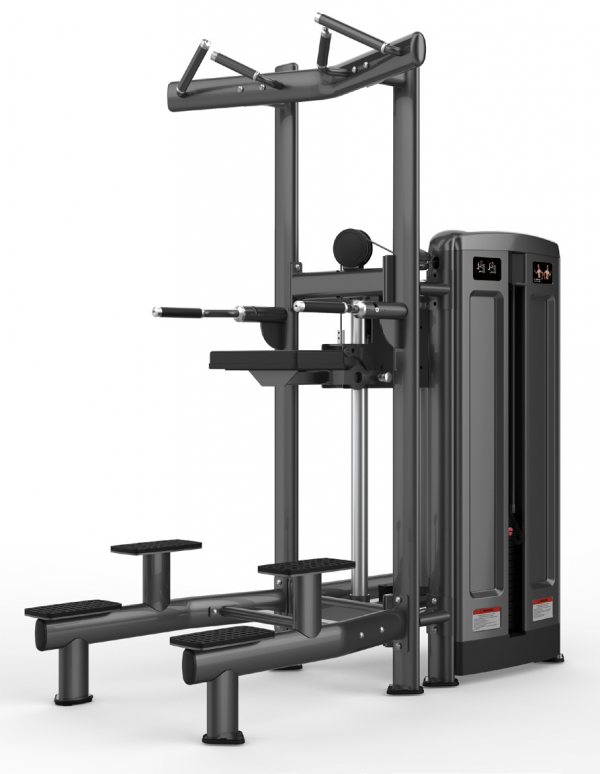DBM7Pro-1010 Assistan Chin/Dip
