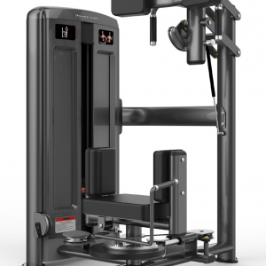 DBM7Pro-2006 Rotary Torso Rotation