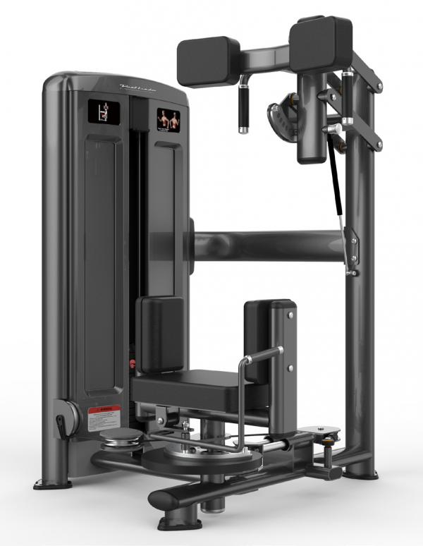 DBM7Pro-2006 Rotary Torso Rotation