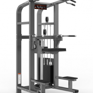 DBPF-1008 CHIN/DIP ASSISTANT