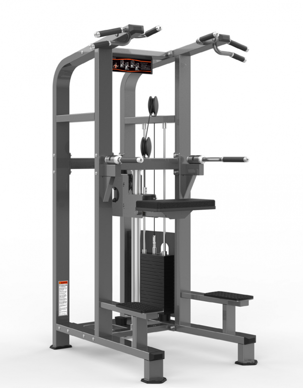 DBPF-1008 CHIN/DIP ASSISTANT