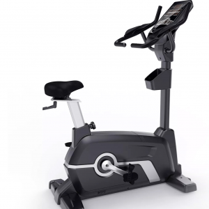 DBRE-6600U UPRIGHT BIKE