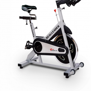 DBRSB-260  SPINNING BIKE (no hand-pulse)
