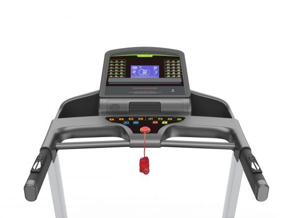 DB-2008 Stride - Image 6