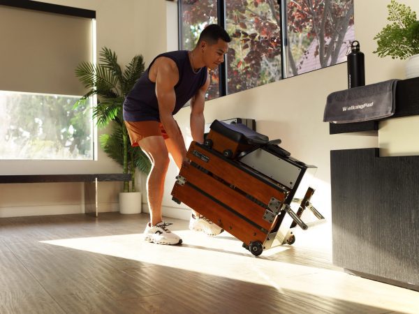Kingsmith WM10 Tri- Fold Rower - Image 3